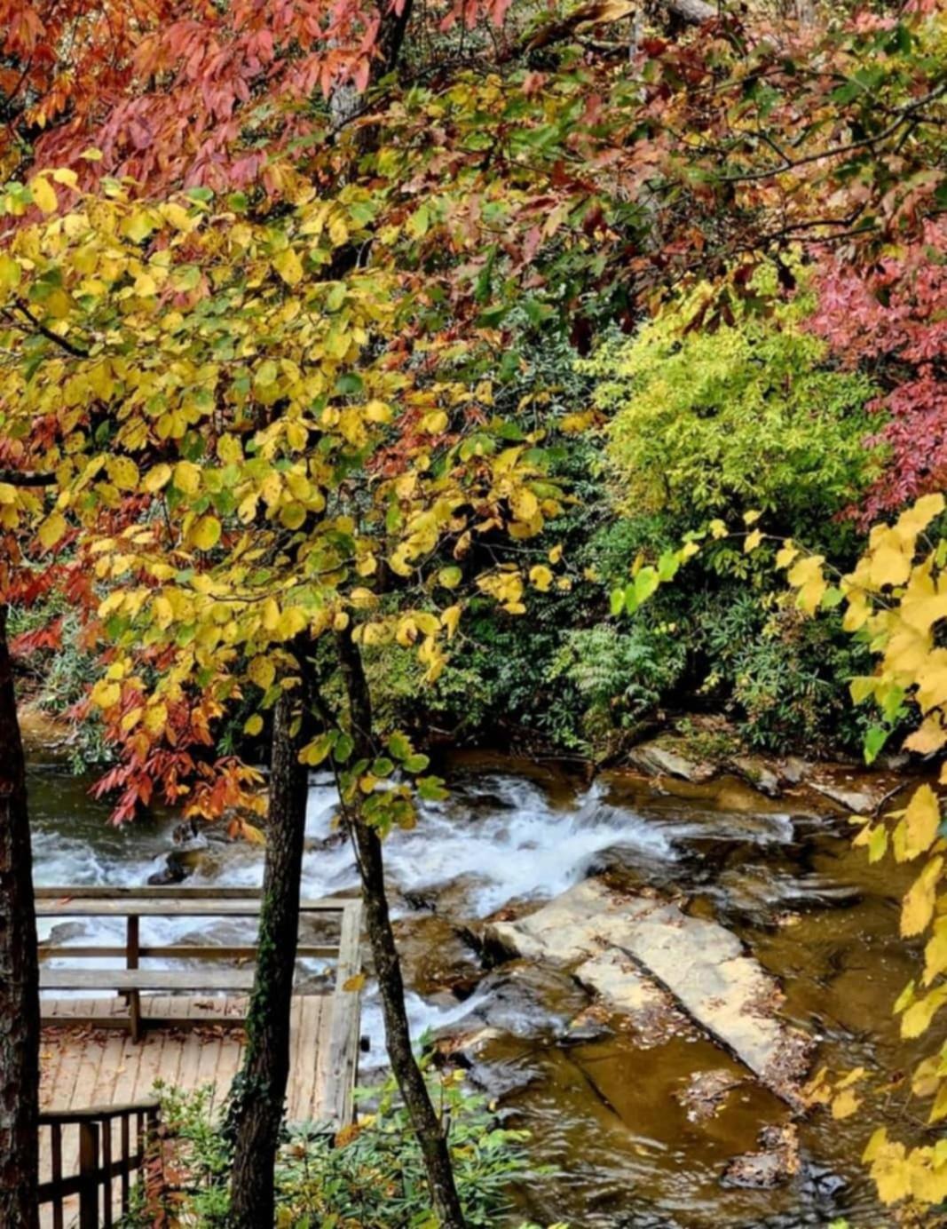 The Cascades Inn-Waterfall Retreat Tiger エクステリア 写真