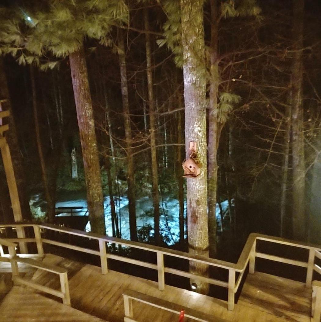 The Cascades Inn-Waterfall Retreat Tiger エクステリア 写真